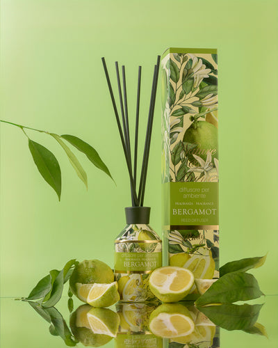 <b>Home Bundle</b><br>Diffuser + Bergamot Candle<br><i>Nature & Arome</i>